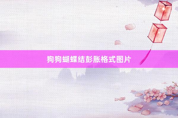狗狗蝴蝶结彭胀格式图片